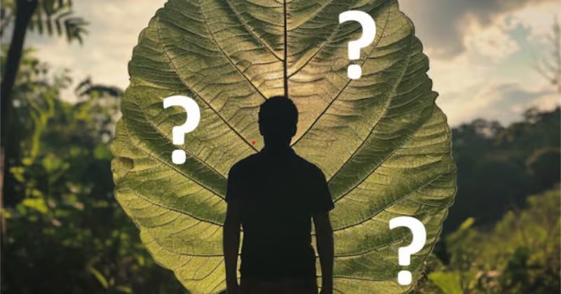 �LOV�K NIKDY NEV� CO MU TO MَE UD�LAT