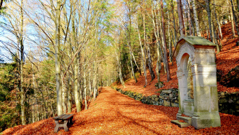 podzimní cesta v lese, v pravo stojí kamenná kaplička